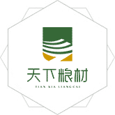 插B网站